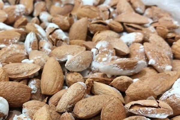 تصویر 5 از معرفی بادام پوست کاغذی محب + بهترین قیمت خرید